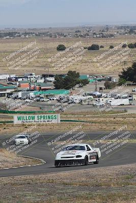 media/May-03-2025-Lucky Dog Racing (Sat) [[206de64b9d]]/Turn 4 A (3pm-4pm)/